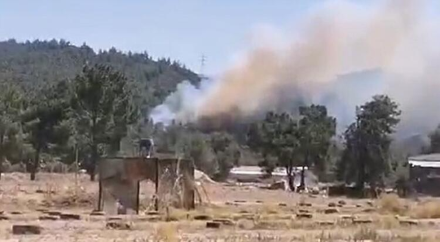 Marmaris'te korkutan orman yangınları!