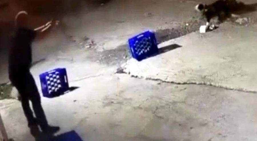 Pitbull köpeğini 14 kurşunla katleden cani tutuklandı