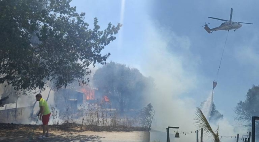 Bodrum'da orman yangını büyüyor!