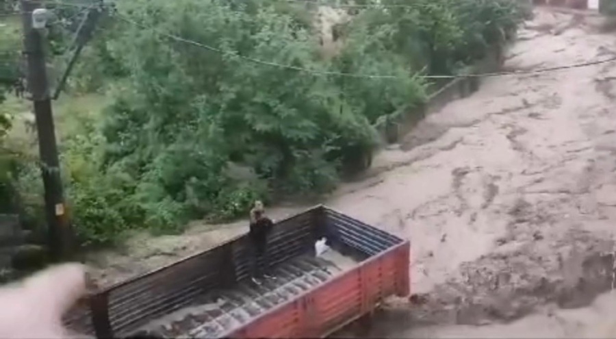 Sele kamyon kasasında yakalandı