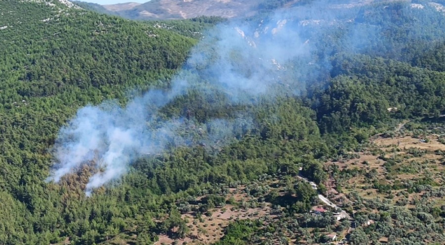 Muğla'da yangın