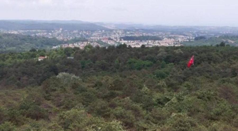 İstanbul'da ormanlık alanlarda yangın alarmı!