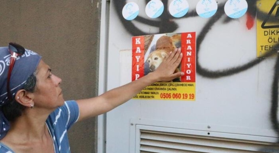 Depremin vurduğu Hatay'da 13 yaşındaki köpeğini arıyor