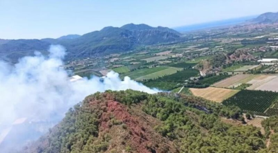 Muğla'da orman yangını çıktı!