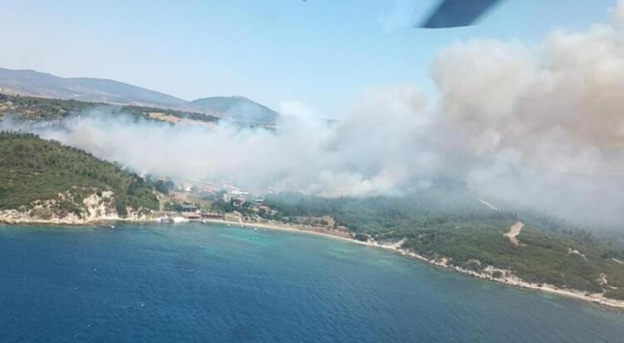 İzmir'de Aliağa ve Menderes'te orman yangını!