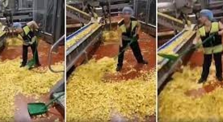 Cips üreten fabrikada mide bulandıran görüntüler!