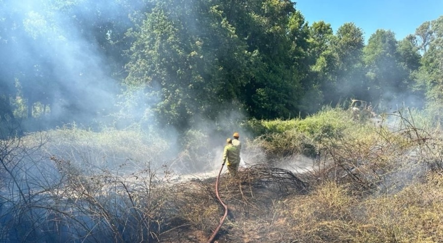 Marmaris Değirmenyanı'nda çıkan yangın söndürüldü