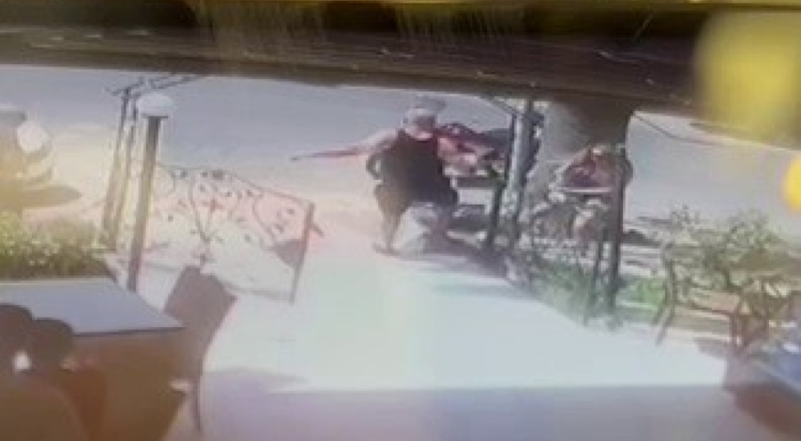 İzmir'de köpeği tekmeleyerek öldürdü