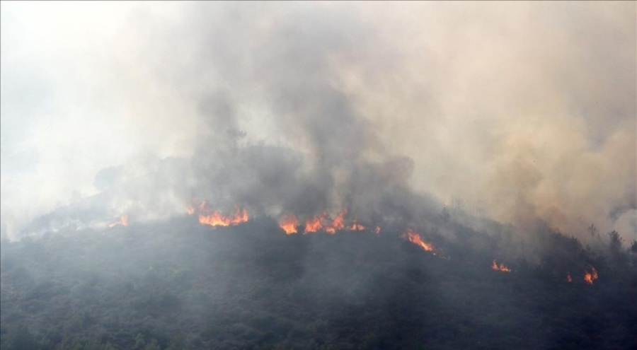 Mersin'de korkutan orman yangını!