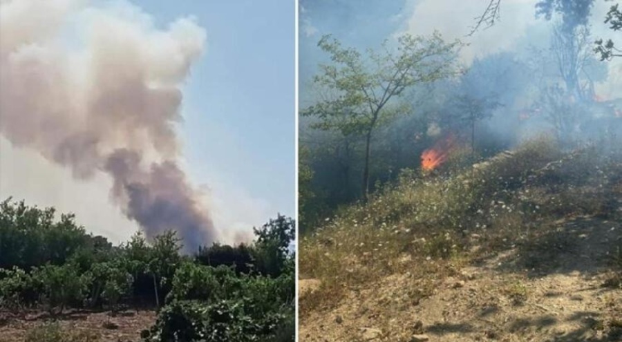 Adana'da iki bölgede yangın!