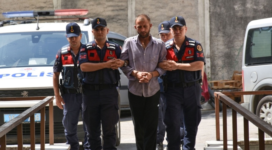 Bursa'da orman yangını çıkardığı öne sürülen zanlı tutuklandı