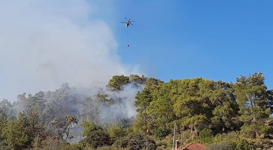 Antalya'da yangın alarmı!