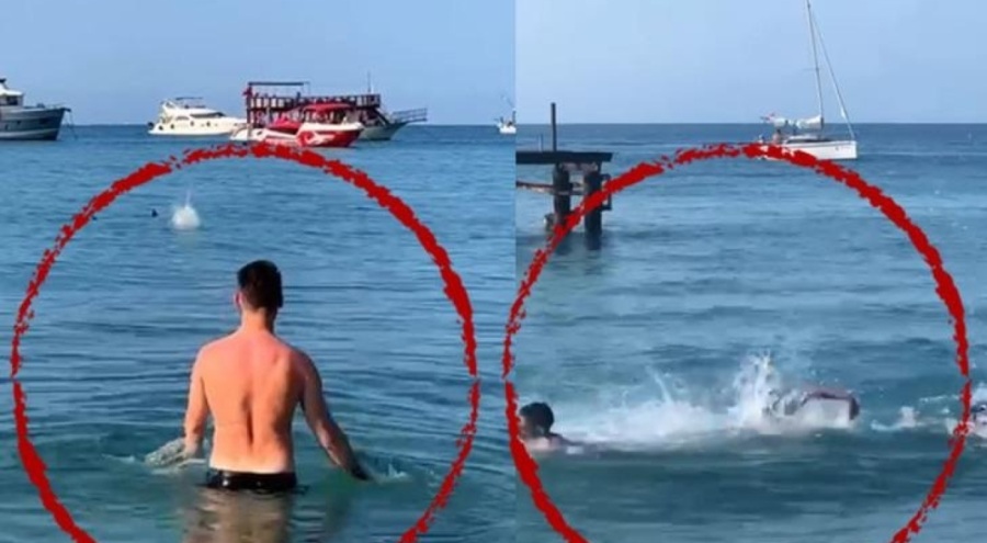 Antalya'da deniz kıyısında panik anları! Köpek balığı sanıp taşladılar