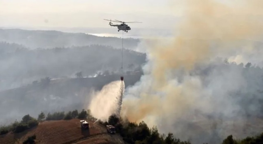 Milas'taki orman yangını kontrol altına alındı