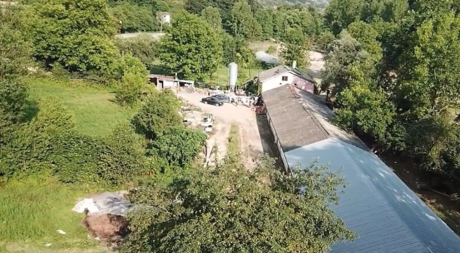 Zonguldak'ta 8 bin 400 tavuk telef oldu