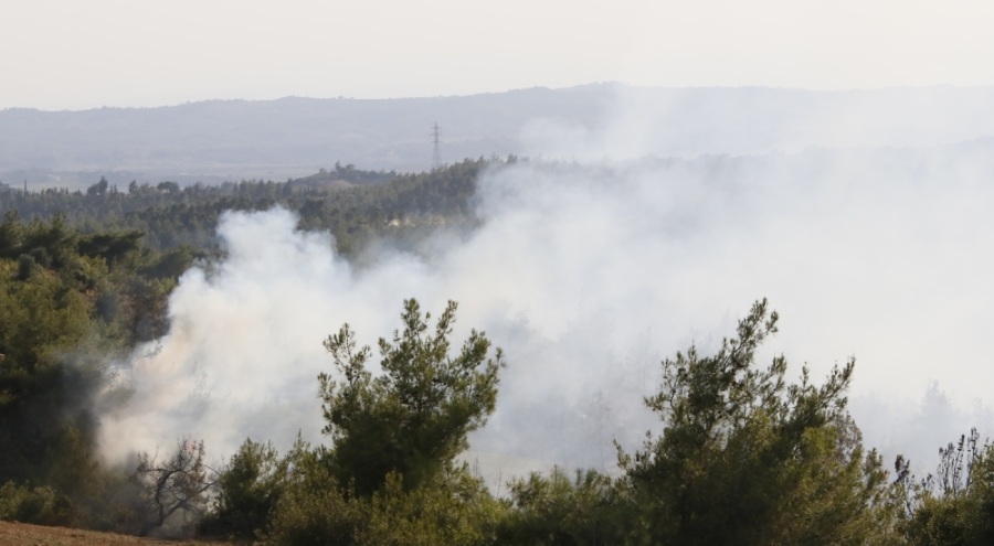 Adana'da orman yangını