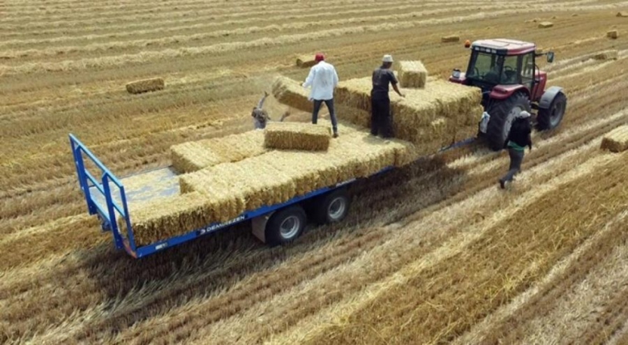 38 derecede balya mesaisi!