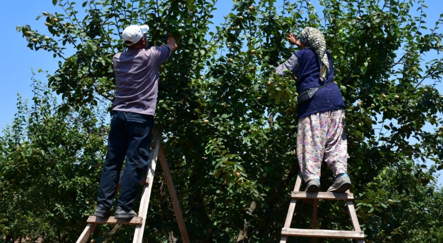 Kronik hastalara "öğle saatlerinde gölgede kal" uyarısı