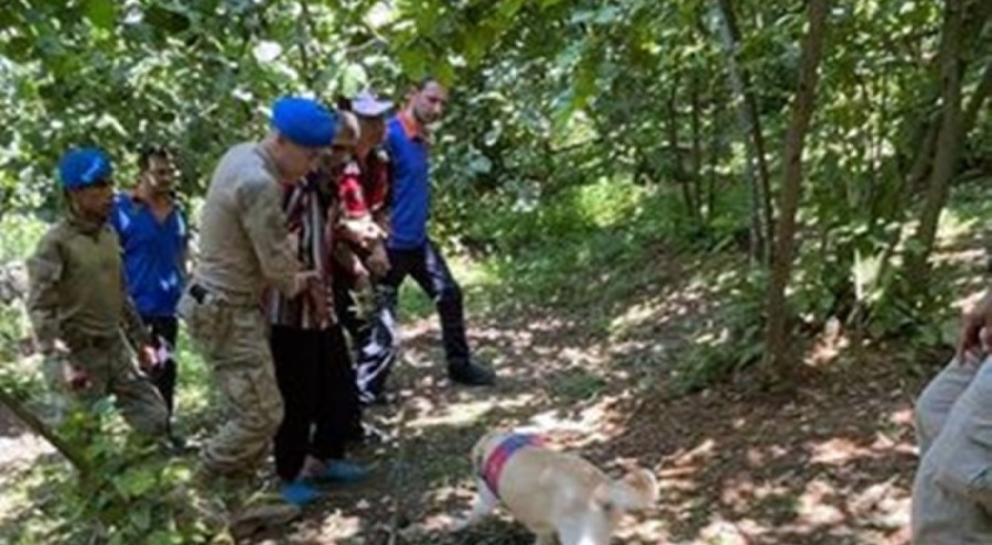 Kayıp ihbarı sonrası ormanda bulundu