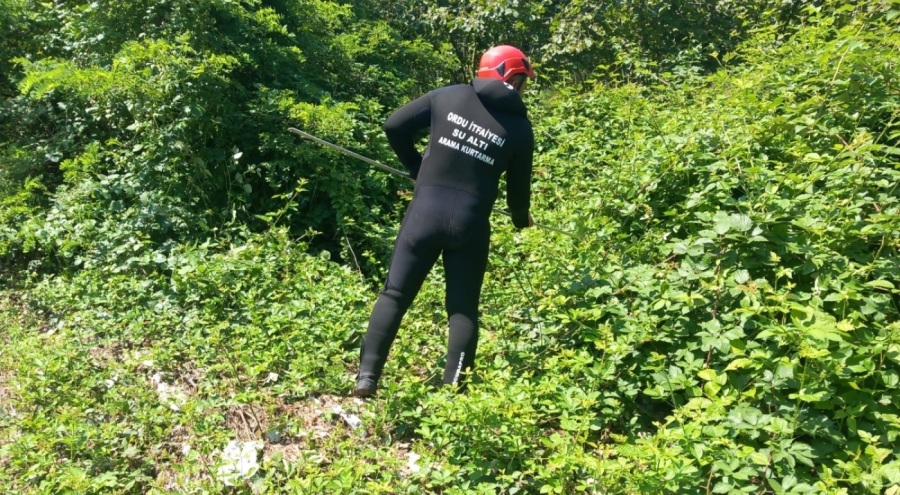 Ordu'da dereye düşen kadını 134 kişi arıyor