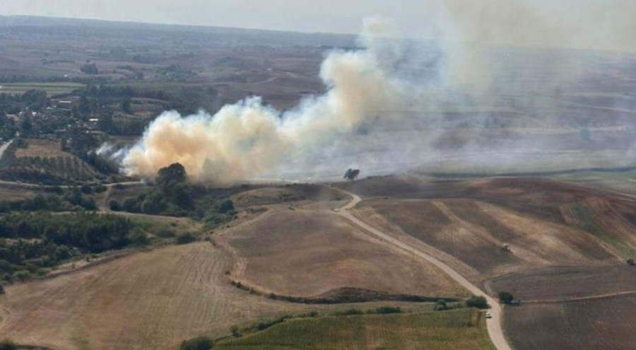 Adana'da ormanlık alanda yangın