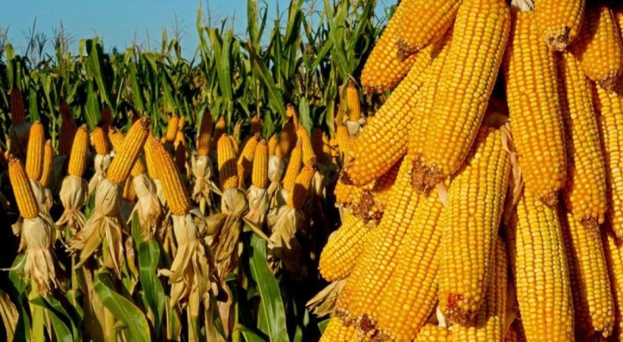 Tarım üreticilerinin enflasyonu yeniden yükselişte!