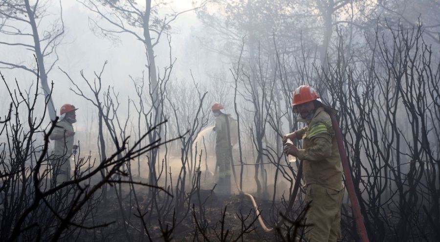 Muğla'da orman yangını