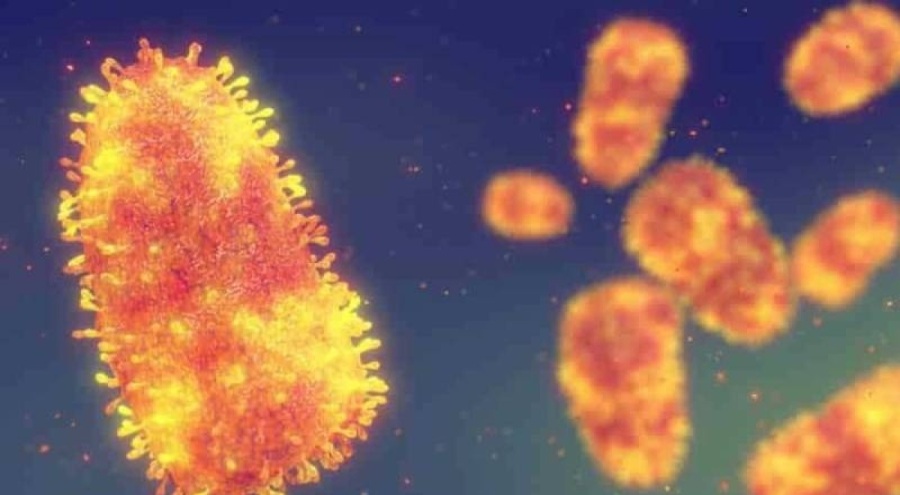 Kuduz hastalığı nasıl bulaşır?