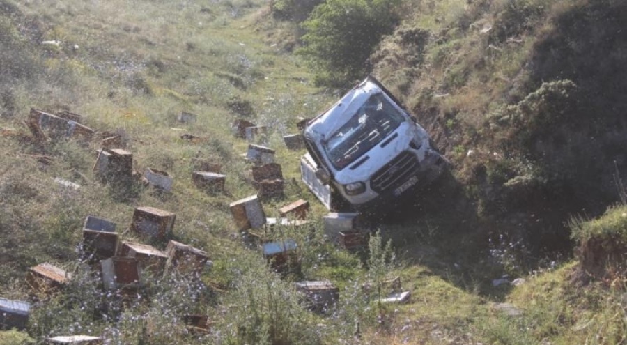 Arı yüklü araç şarampole uçtu!