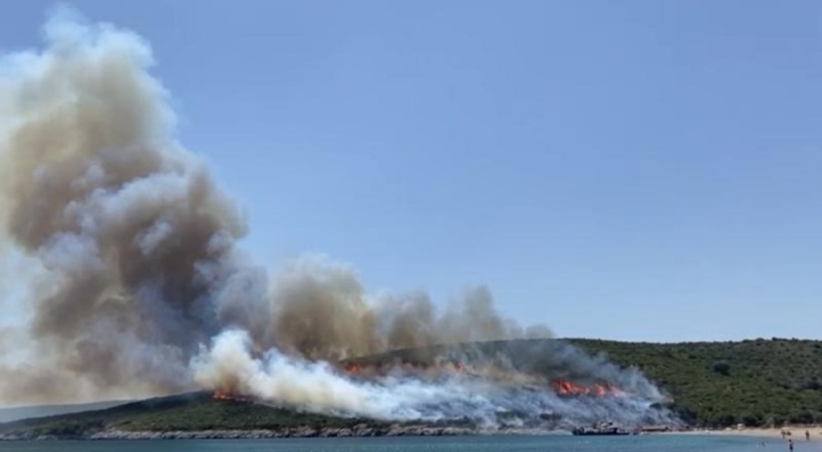 Urla'da yangın çıktı!