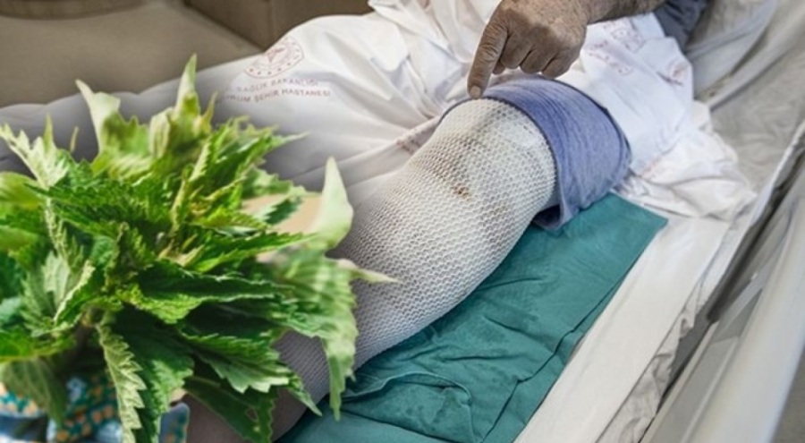 Erzurum'da "Alternatif tıp" hastanelik etti