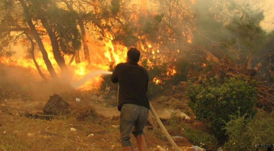 Eskişehir'de ormanlık alanlara girişler yasaklandı