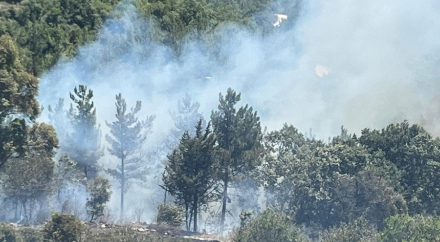 Osmaniye'de orman yangını çıktı