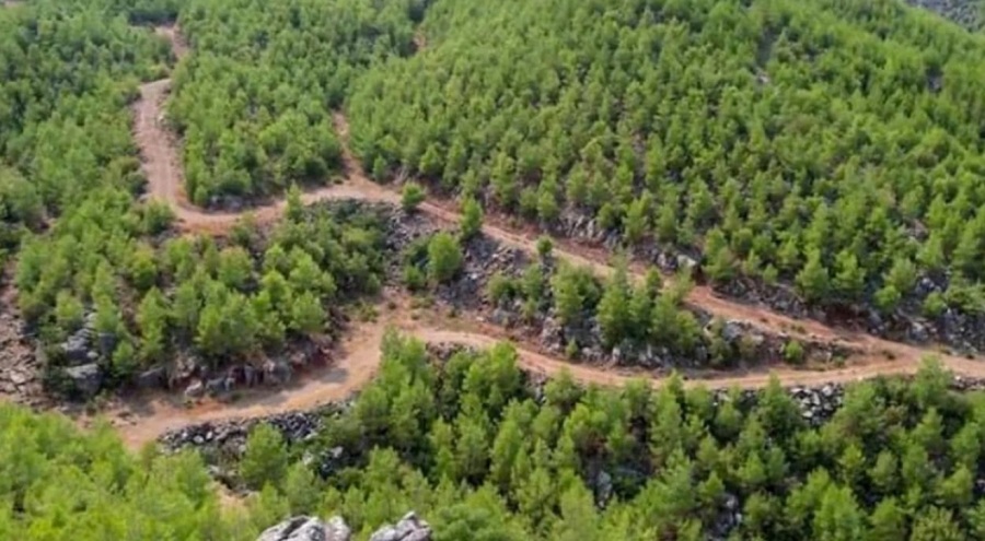 Eskişehir'de de ormanlara girişler yasaklandı!