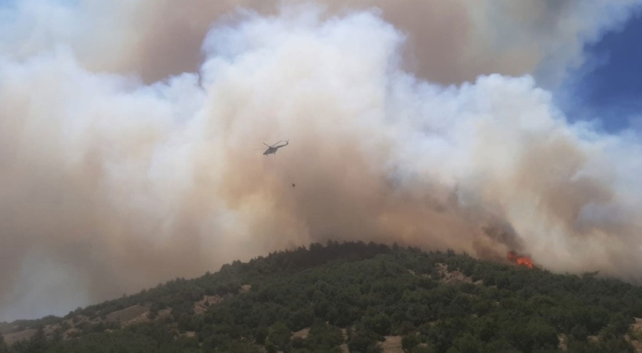Kahramanmaraş'ta orman yangını