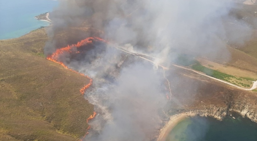 Avşa Adası'nda yangın