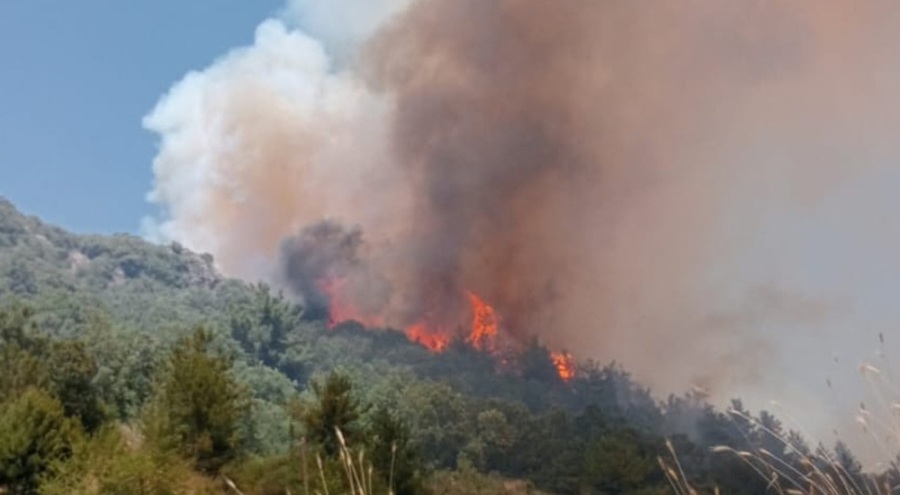 Osmaniye'de 400 dönüm kül oldu