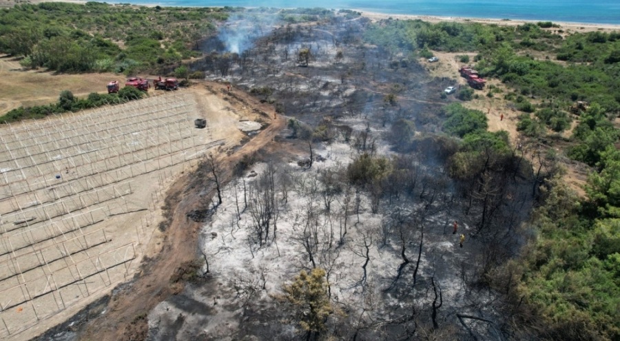 Manavgat'taki yangına ilişkin 2 kişi sorgulanıyor!