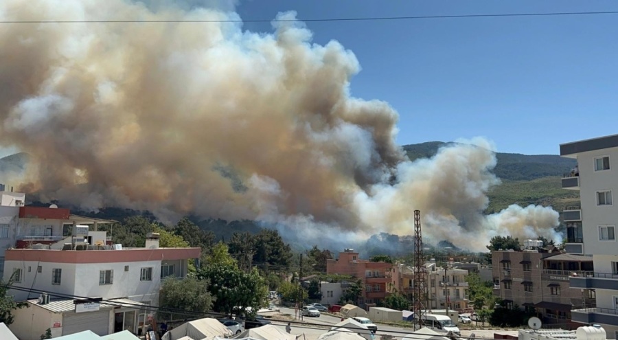 Hatay'da orman yangını!