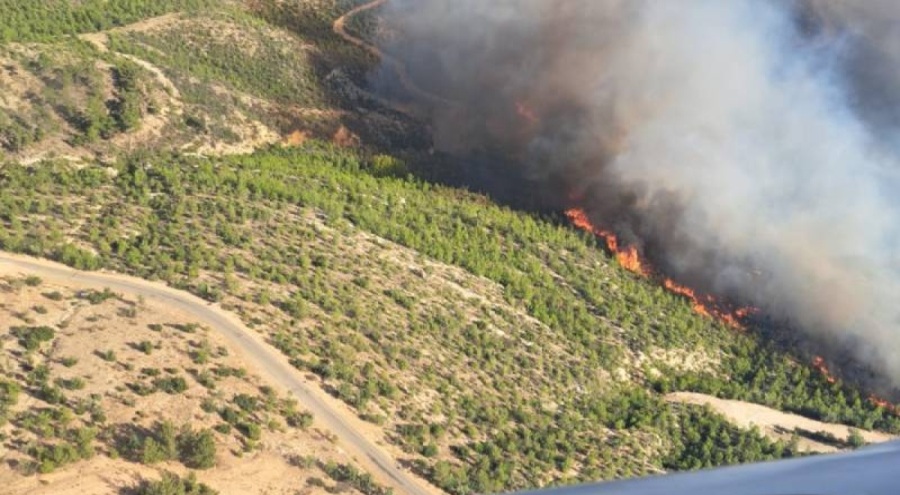 Mersin'de orman yangını