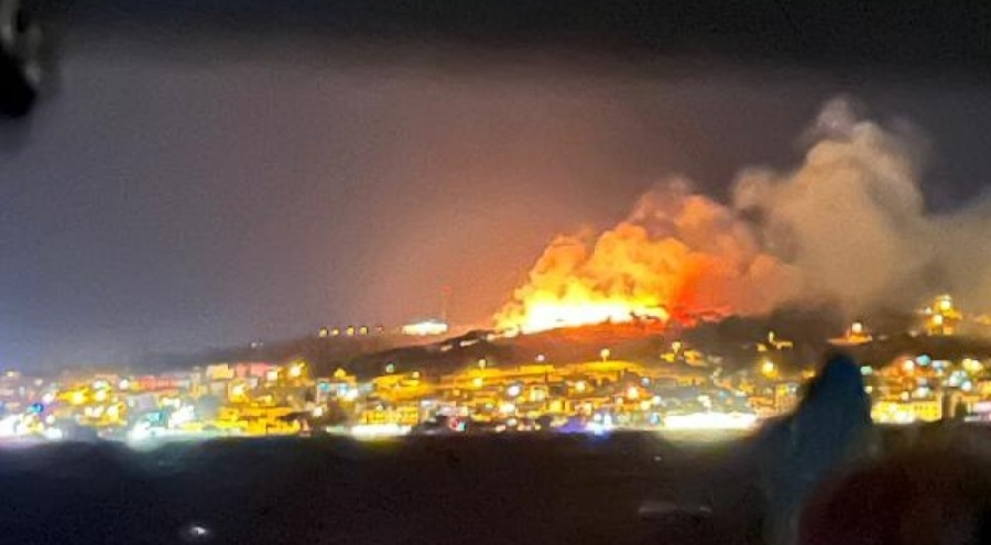 Ayvalık'ta orman yangını