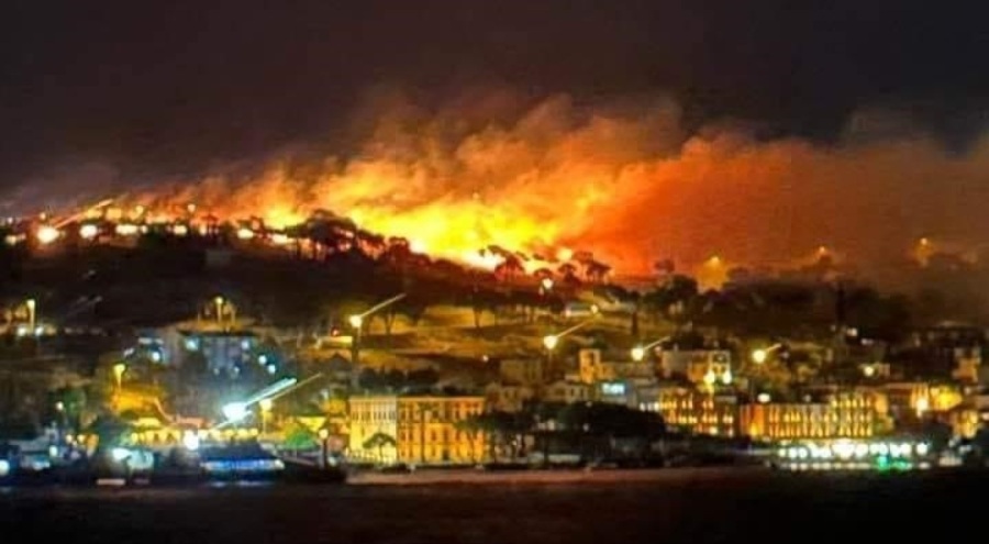 Ayvalık'ta otluk alanda çıkan yangın kontrol altına alındı