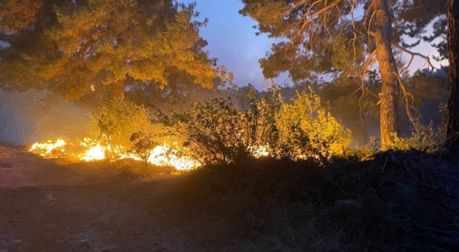 Çanakkale cayır cayır yanıyor!