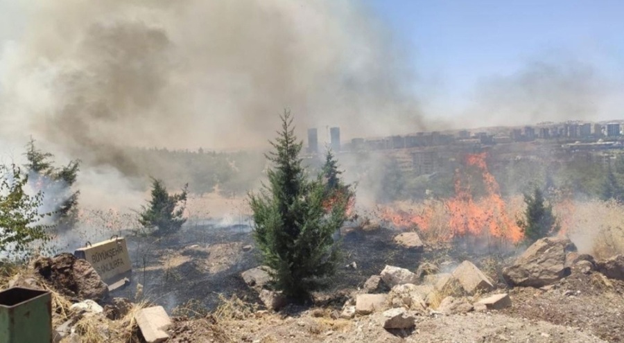 Şanlıurfa'da da yangın çıktı!