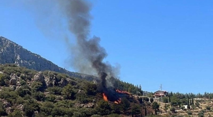 Datça'da orman yangını çıktı