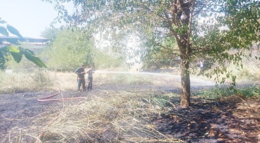 Siirt'te mezarlıkta yangın! Çok sayıda ağaç yandı