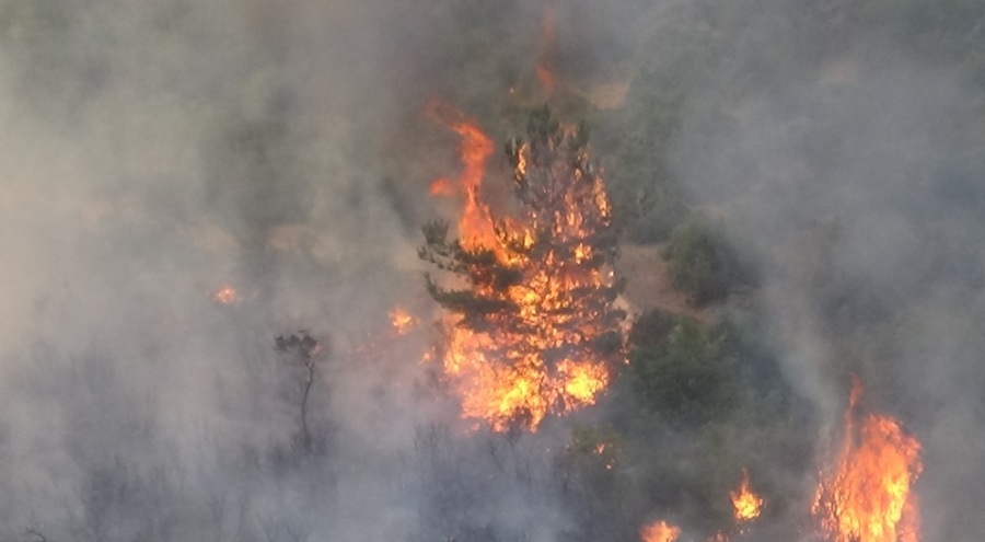 Çanakkale'deki orman yangınında 8 köy boşaltılacak