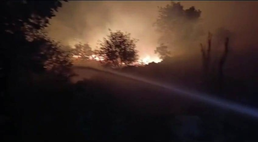 Lice'de orman yangını!