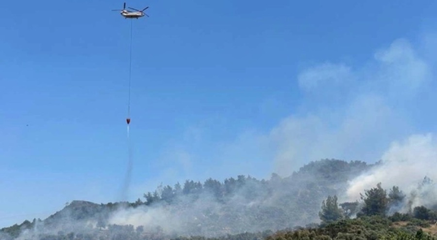 İzmir'de zeytinlik alanda yangın!