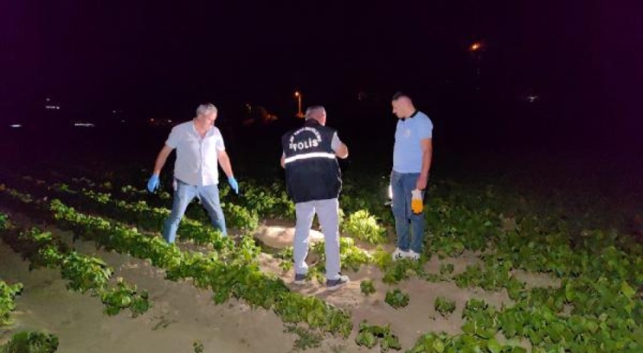 Bursa'da dehşet:  Sokak köpeği vurularak öldürüldü